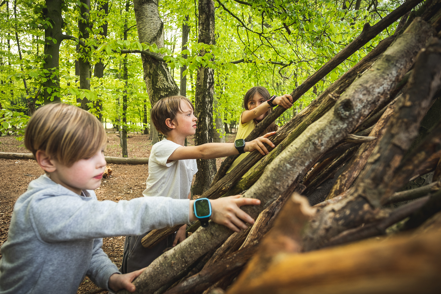 Bæredygtighed: små skridt med en stor betydning