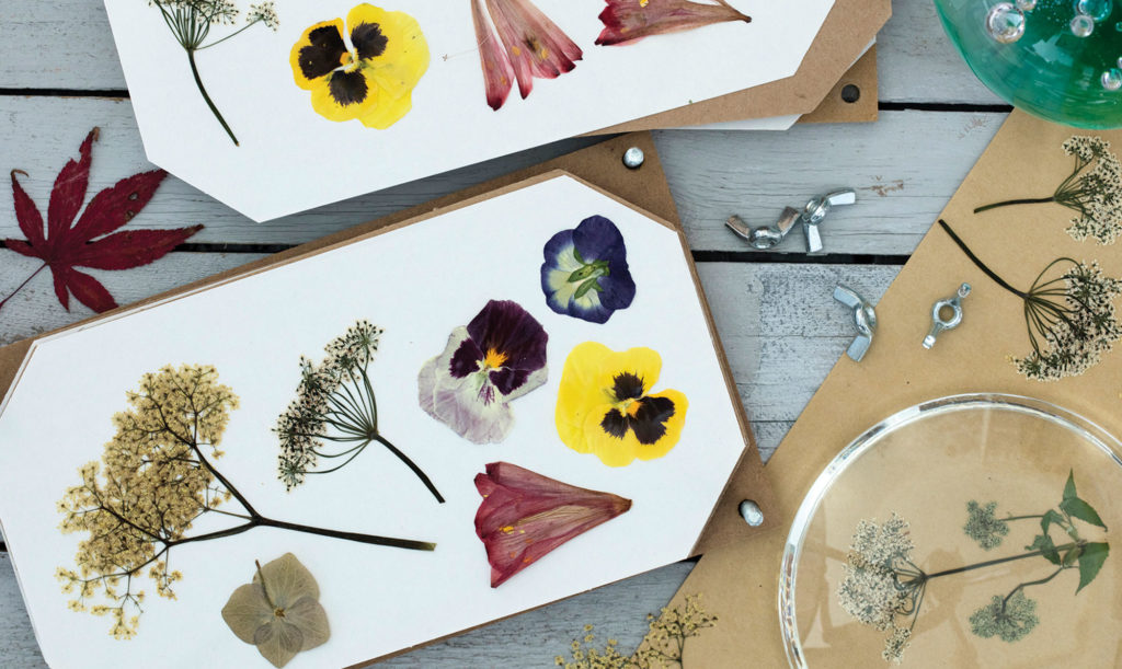 Pressede blomster (fra ALT.dk)