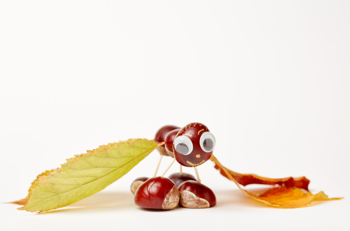 Efterårsaktiviteter kastanjedyr